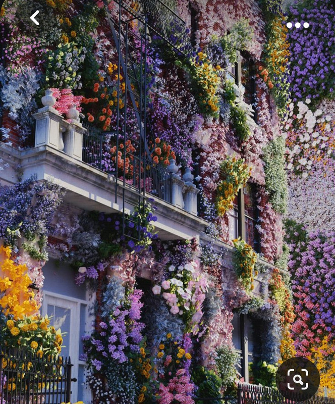 Screenshot_20231107_212013_Pinterest