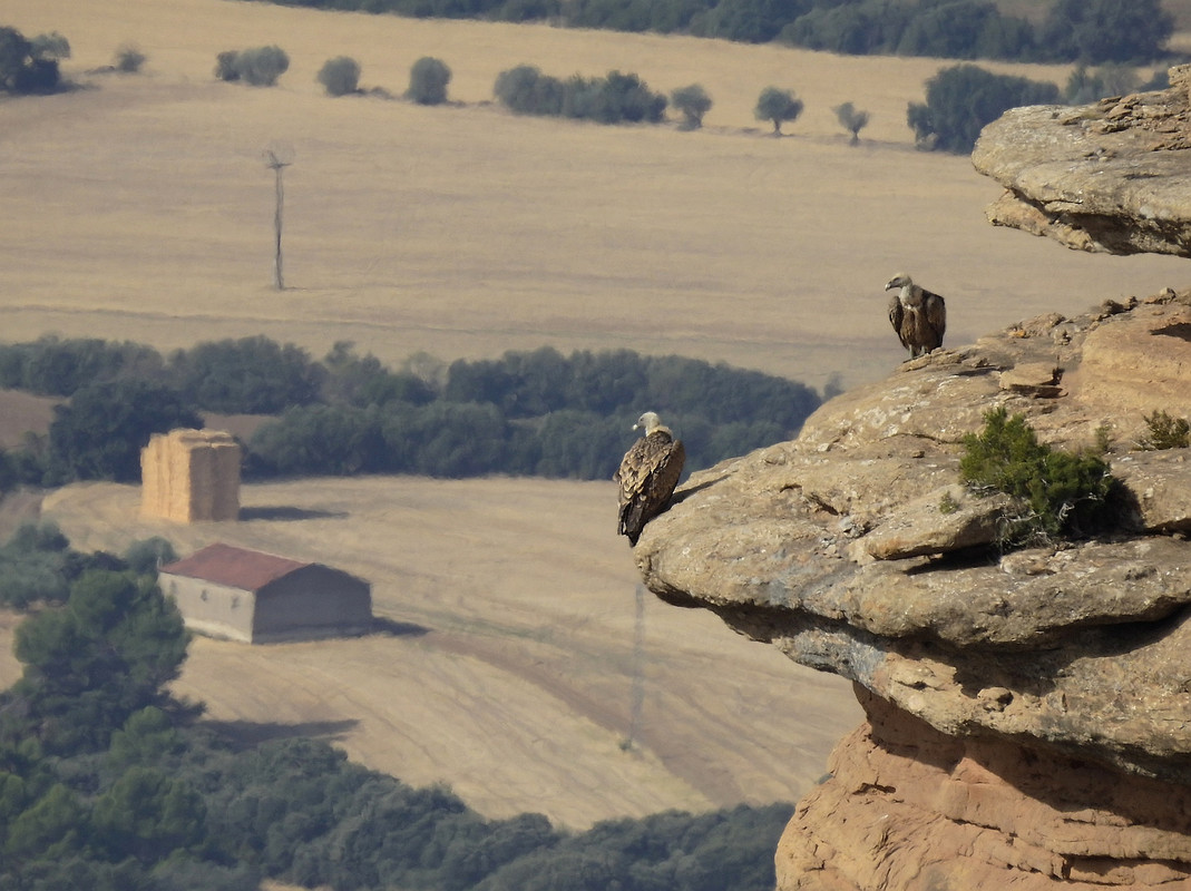 Vale Gieren tijdens een wandeling in Spoanje