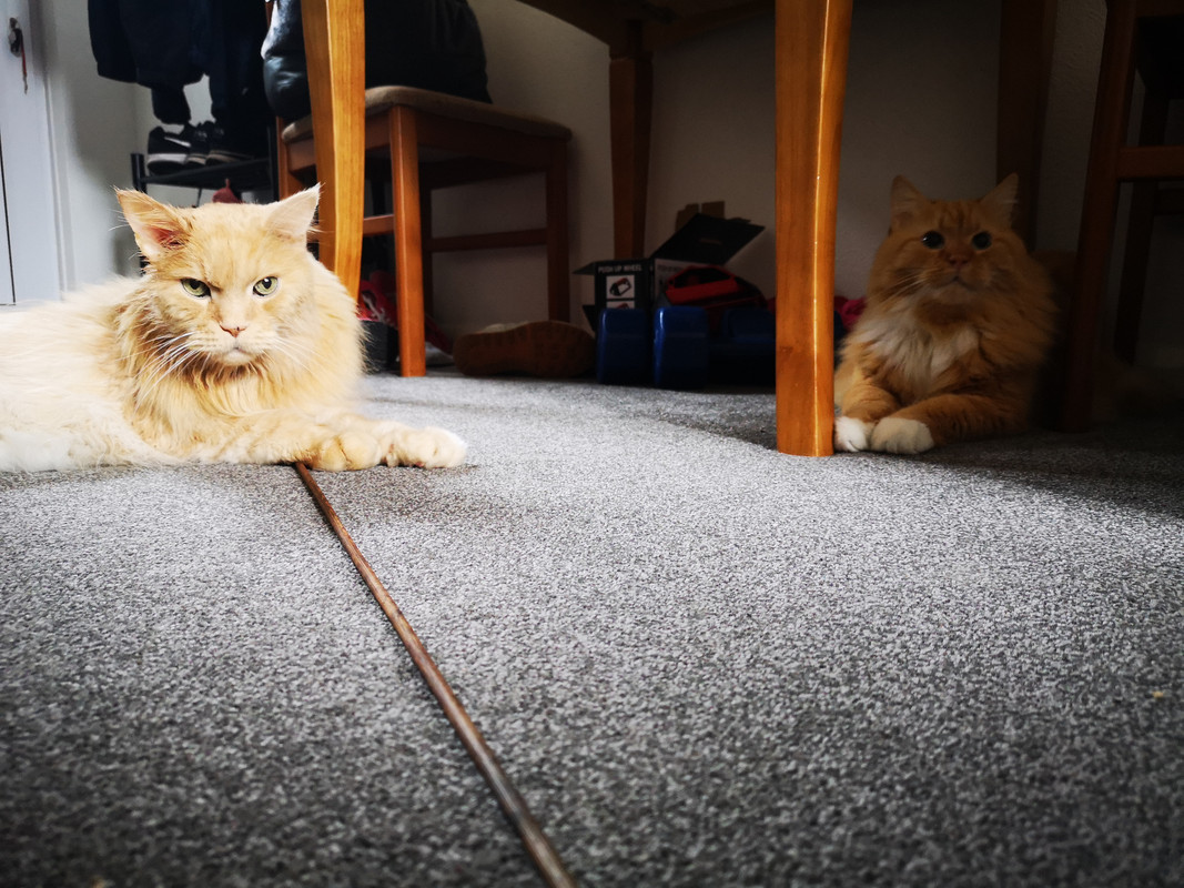 IMG-20191003-091123.jpg