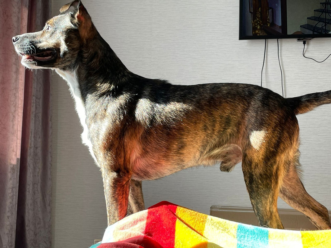 724956A9-C424-4EBB-AF5A-2B606A348285