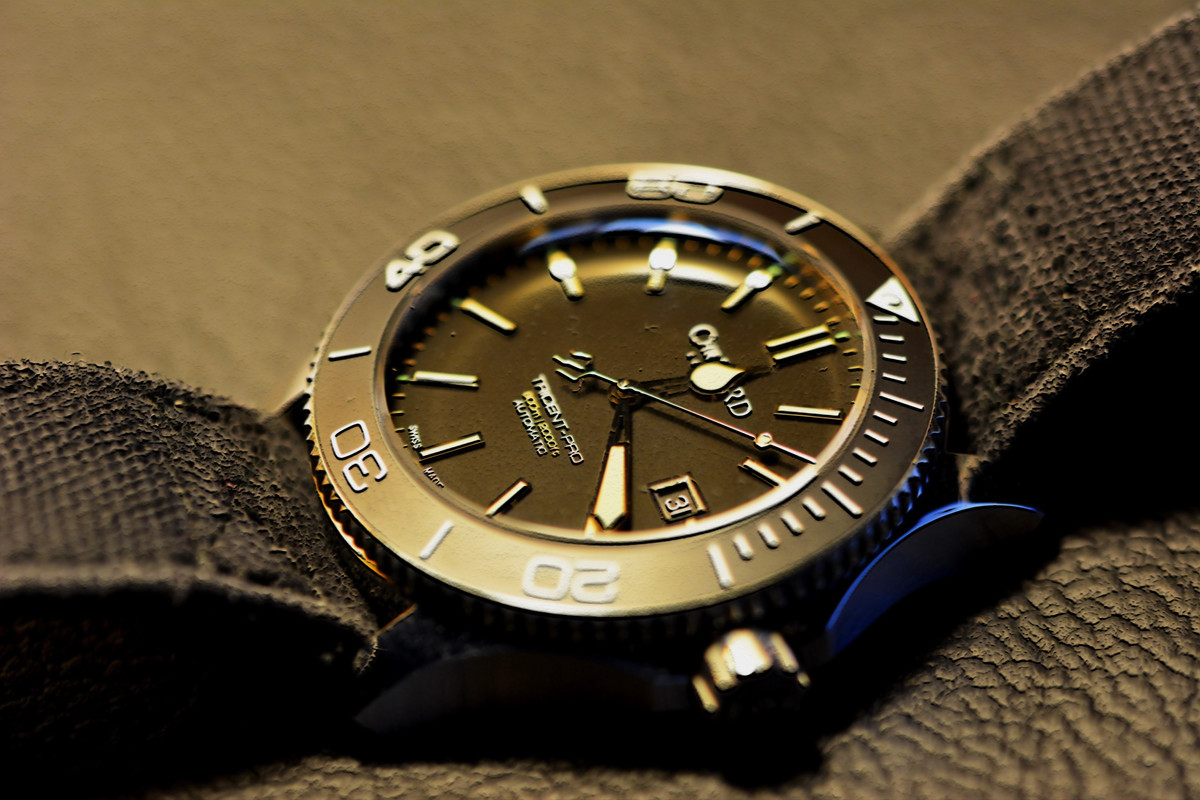 DSC-1181p.jpg