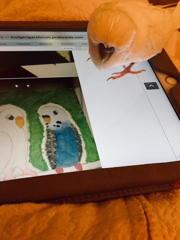 5BEDB6C6-A082-4C58-A4A8-DA2B0FC9C0E2