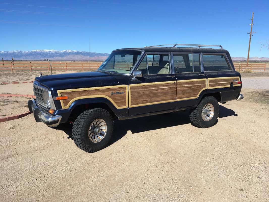 poiser IMG_5761 copy