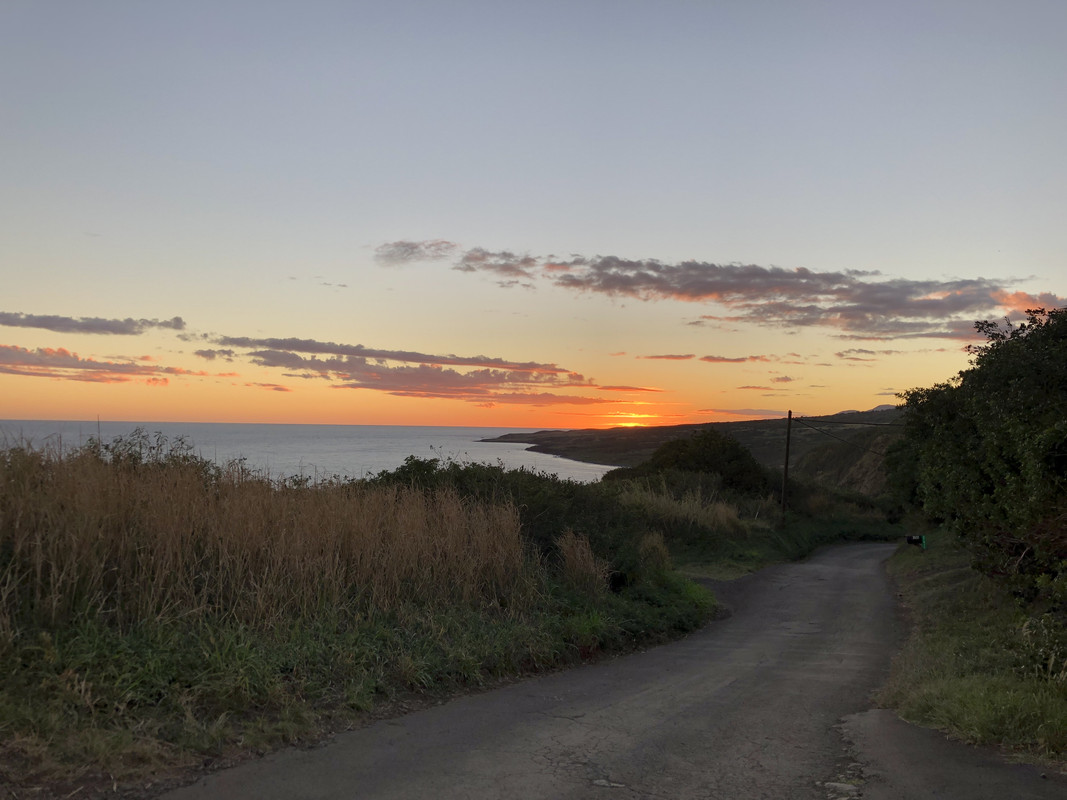 E8728067-24F1-4F41-A1AE-6EE1E5A2BDE5