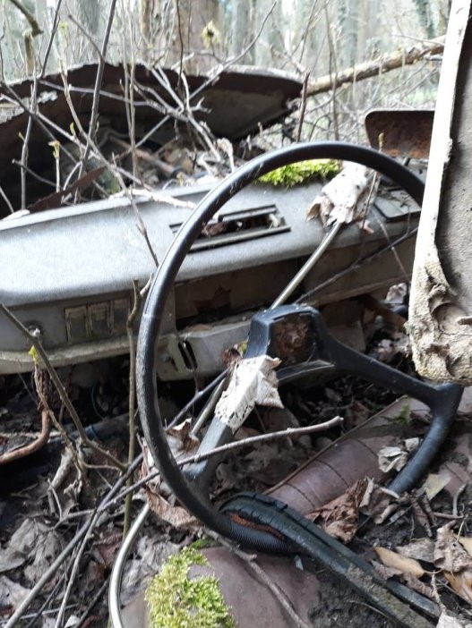 413693804_3-renault-4l (2)