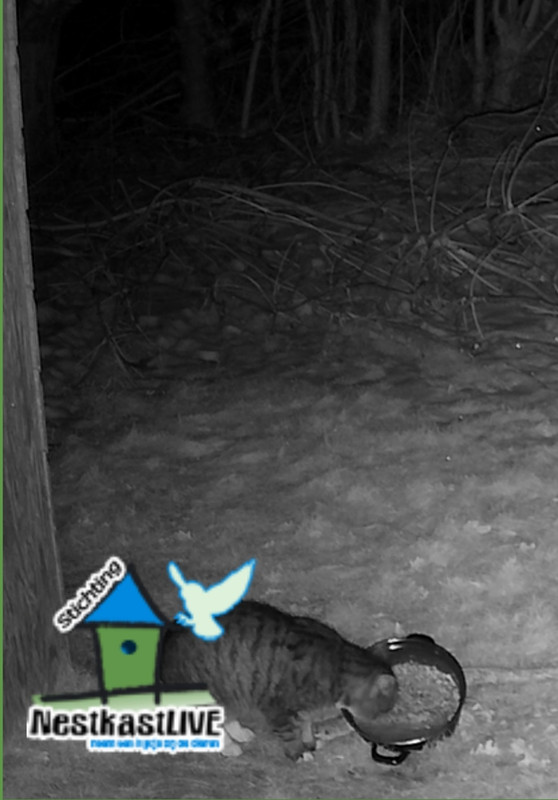 Screenshot 20260111 053625