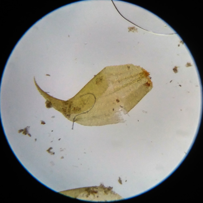 IMG 20250617 111632 HDR