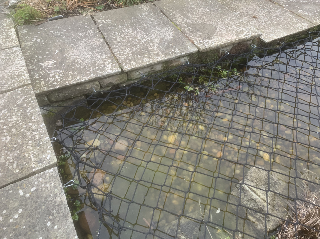 Pond netting for child safety any experiences and tips? Pond Design and Construction Forum