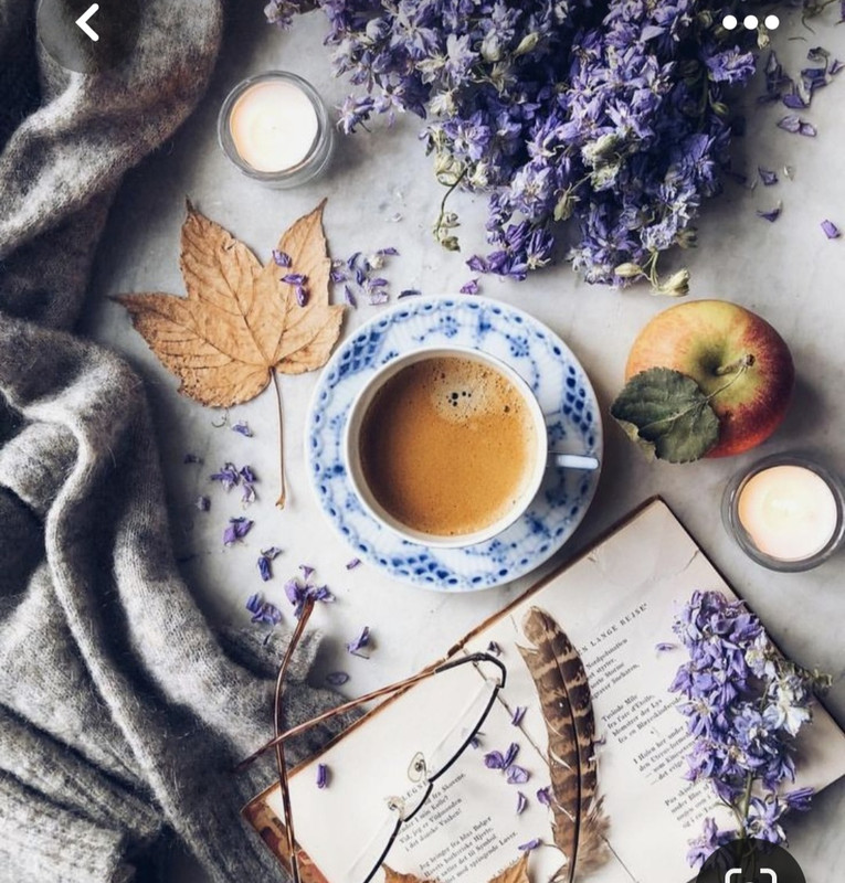 Screenshot_20230508_231921_Pinterest