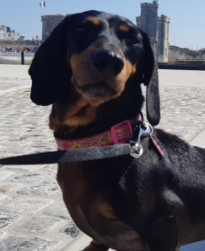 [Image: Resized-20190710-215749.jpg]