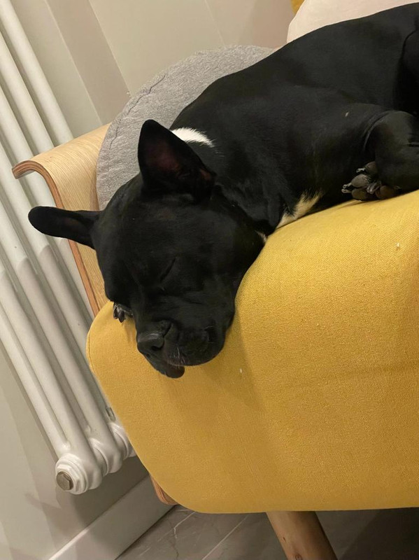 F71D9E24-3365-4EE1-804A-C11BCB87D80B