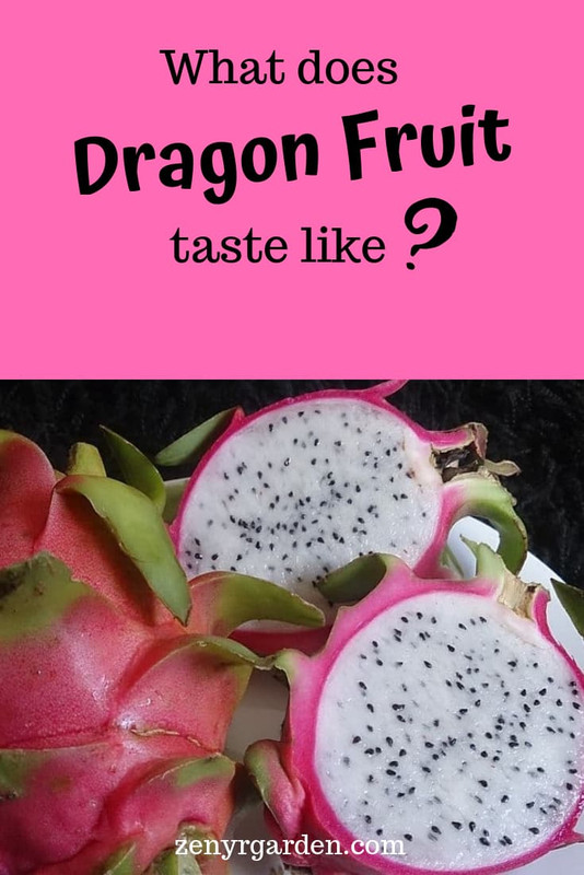 what-does-dragon-fruit-taste-like-pin.jpg