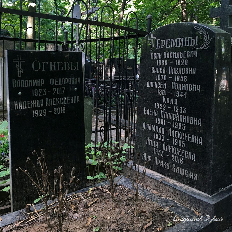 ognev-vf-tomb