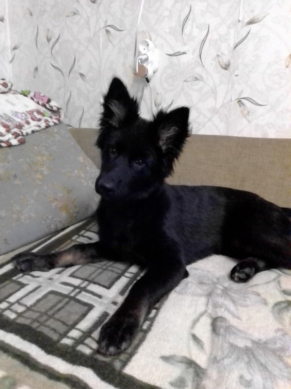 изображение_viber_2020-02-18_17-09-34