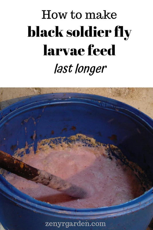 how-to-make-black-soldier-fly-larvae-feed-last-longer.jpg