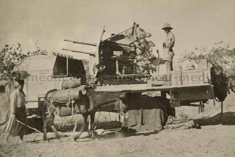 ITALY - Flak Rgt 49 Panzer Division Hermann GOERING  (5)
