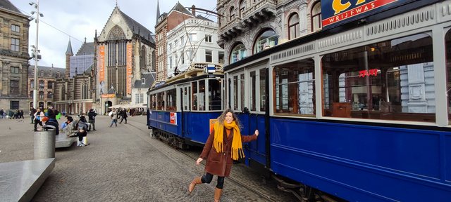 Amsterdam 2023 en pareja - Blogs de Holanda - Vermeer, alquilar bicis, molinos.... (8)