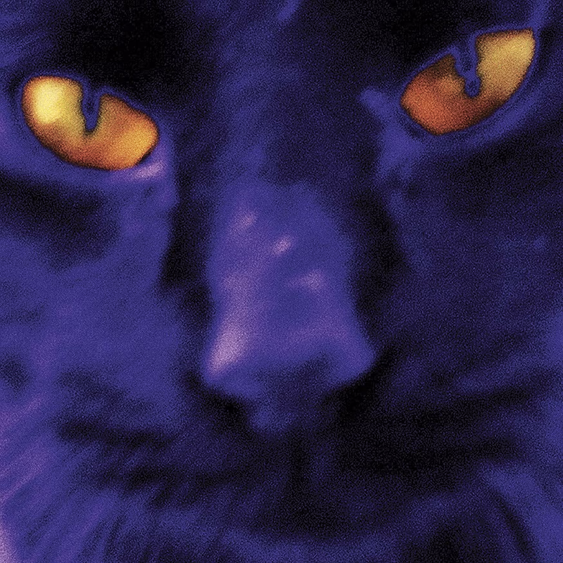 A1e9M817Yd L AC AIweblab1006854 T4 FMavif SF875 0 875 0 PQ67