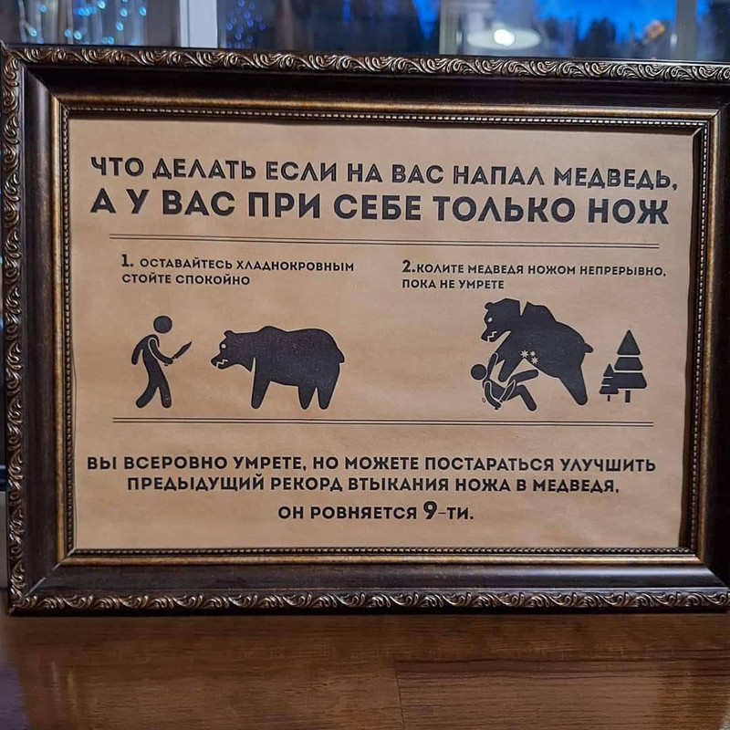 1000032847-1692113434.jpg