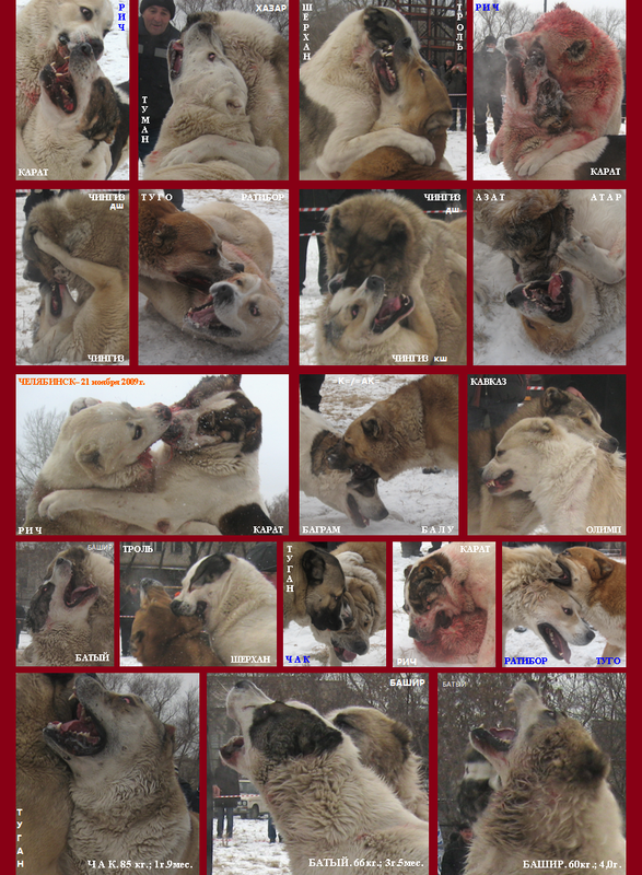 2009.11.21 5-й Турнир 1-й Круг ТСС Портреты ЛИСТ (9)