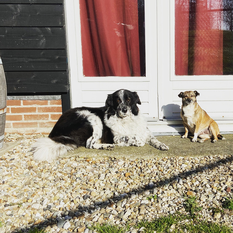 790641DA-68D4-4351-83D2-22884565F437