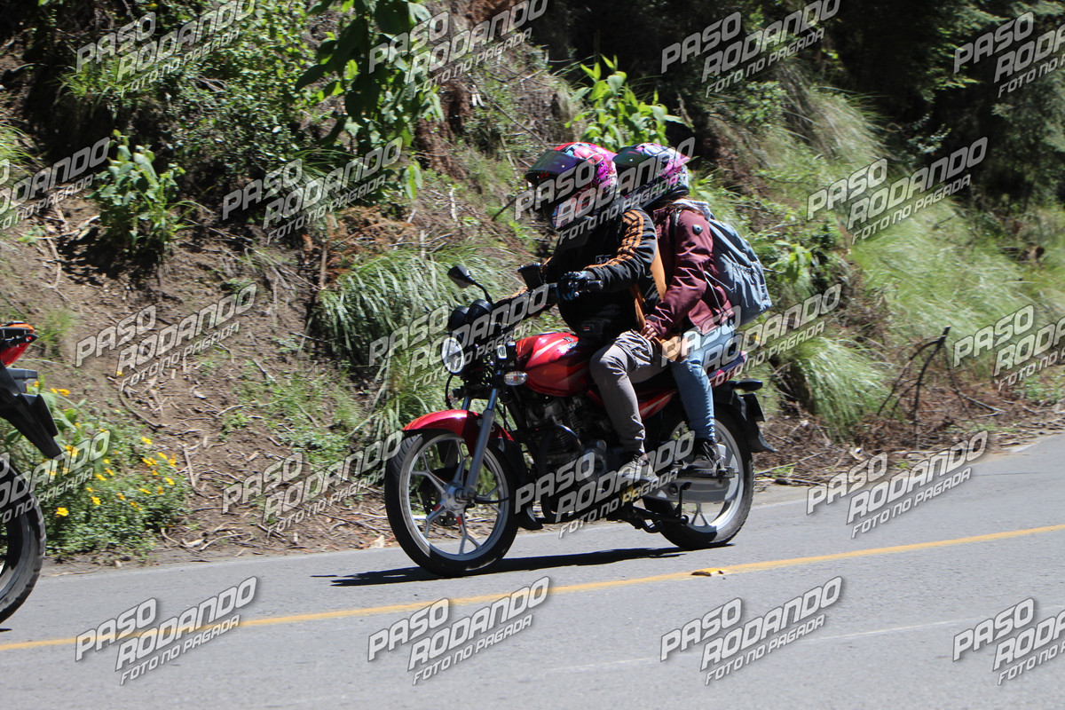 IMG_5074-wm-15094754.899999999_watermarked