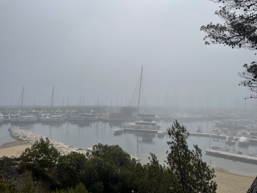 2EACD06E-5614-41C1-BB3B-3084A491E87C