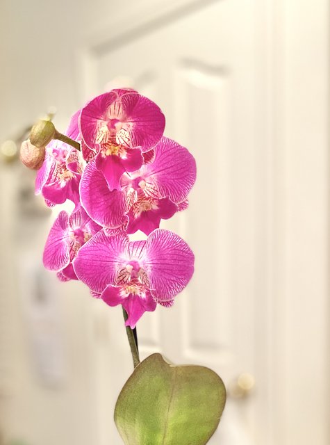 [Image: 1-A4012-D1-CB66-4853-8744-12-A36-B333-BF1.jpg]