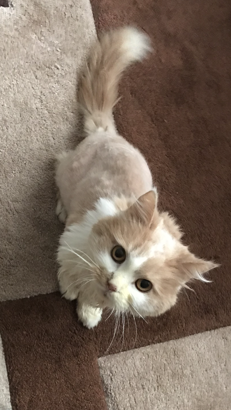 068E132A-D588-4DBB-8C4E-A9991431C81A