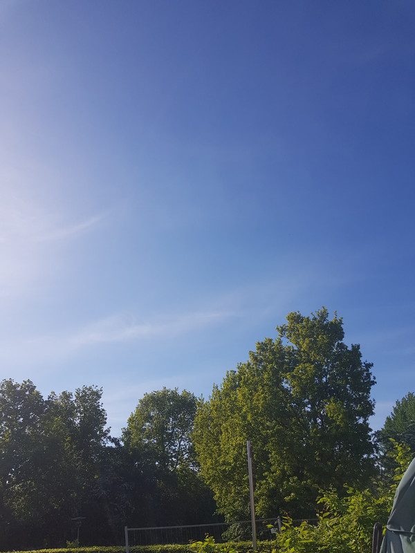 192799025_3941530659233285_9125775906615479602_n