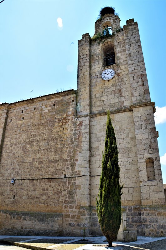 MONTEALEGRE DE CAMPOS-4-6-2016 - Valladolid y sus pueblos-2012/2016 (1)