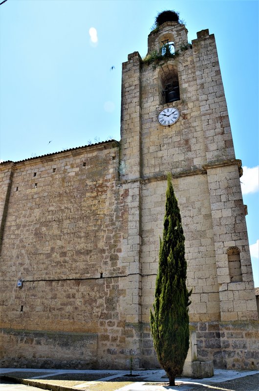 MONTEALEGRE DE CAMPOS-4-6-2016 - VALLADOLID Y SUS PUEBLOS-2012/2016 (1)