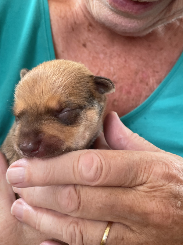 6AF14A85-8CD1-4DB1-9477-A063BF17A6BC