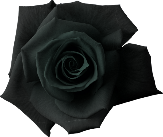 Autumn Witchery (98)