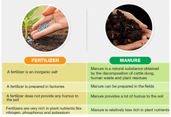 Different b/w Chemical Fertilizer and Manure