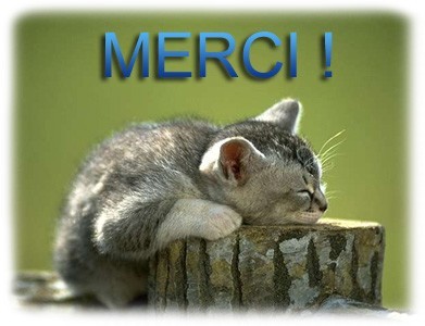 merci-copie-1