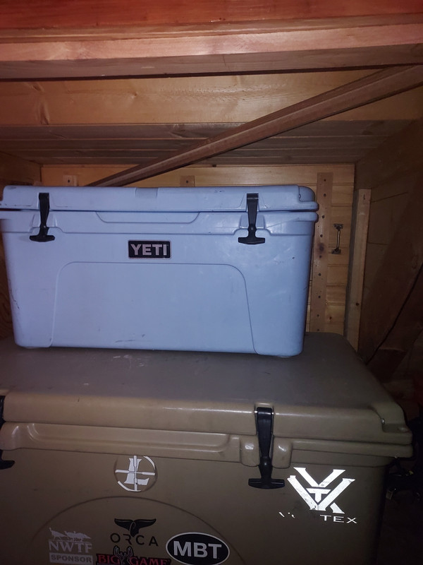 Resized 20260312 123638