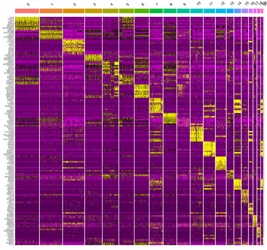 Figure 2B.tsneHeatmap