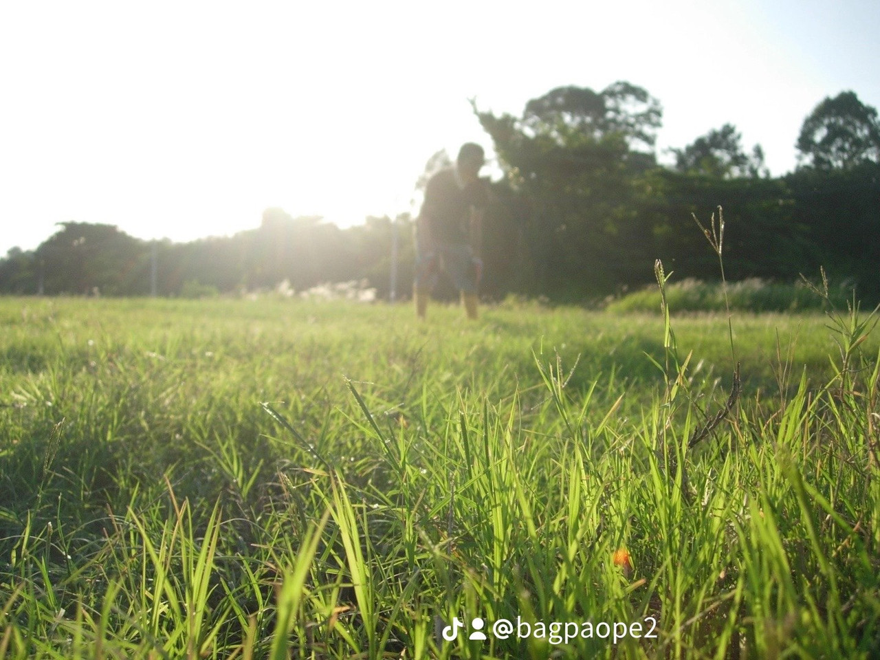 photo 27 2026 01 03 21 17 28