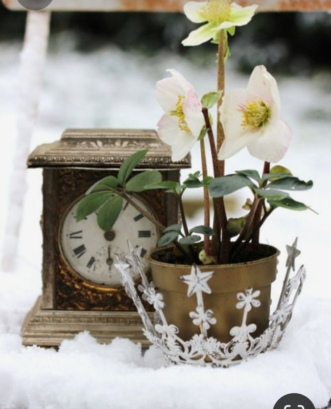 Screenshot_20230327_233828_Pinterest