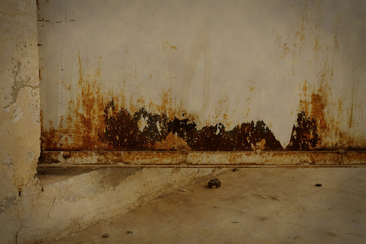 Certified mold and water damage technician inspecting a Suamico Wisconsin property