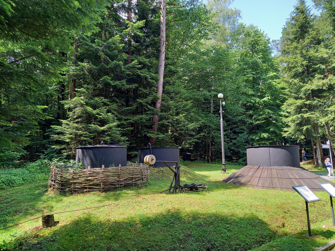 04.10 - 20220617_111414 (TomaszL)