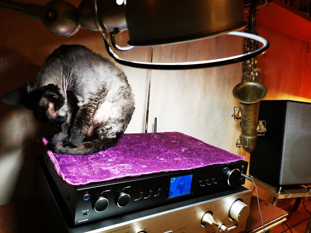 C672AE78-4279-4F2D-812C-65D1F7C1357D