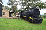 DSC-0209