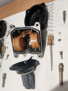 20250412_185524_resized