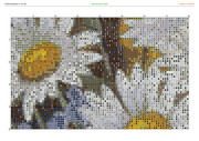 1442498-crosti-ru-color-3
