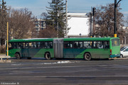 IMG-3027