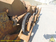 DSCN0729
