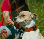 Screenshot_20230627_234008_Gallery