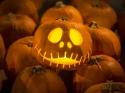 Pumpkins-0046